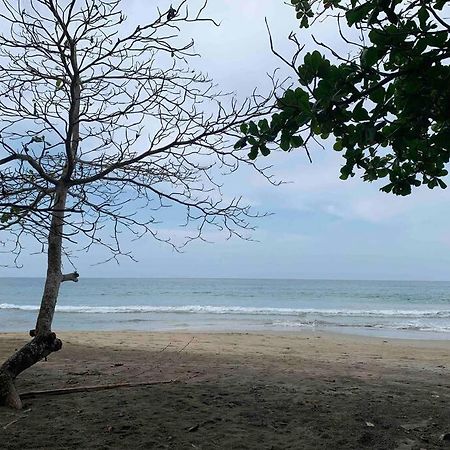 Beautiful Loft Near The Beach Apartment Manzanillo  Luaran gambar