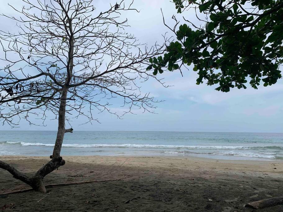 Beautiful Loft Near The Beach Apartment Manzanillo  Luaran gambar